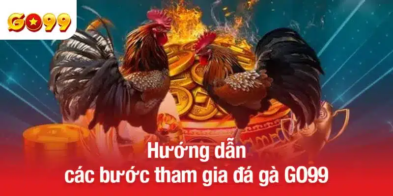 Hướng dẫn các bước tham gia đá gà GO99