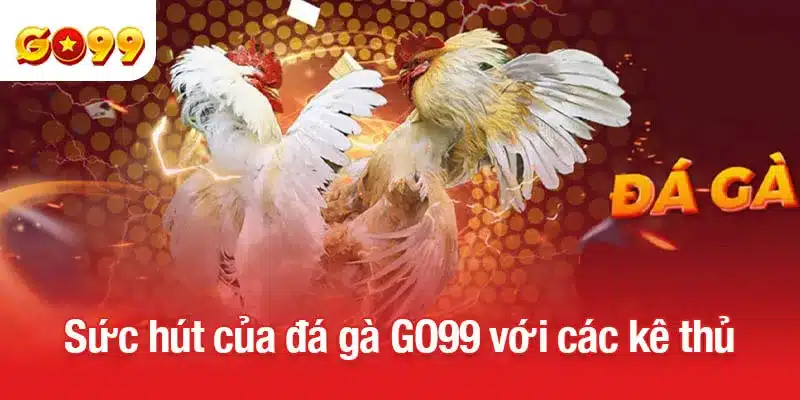 Sức hút của đá gà GO99 với các kê thủ